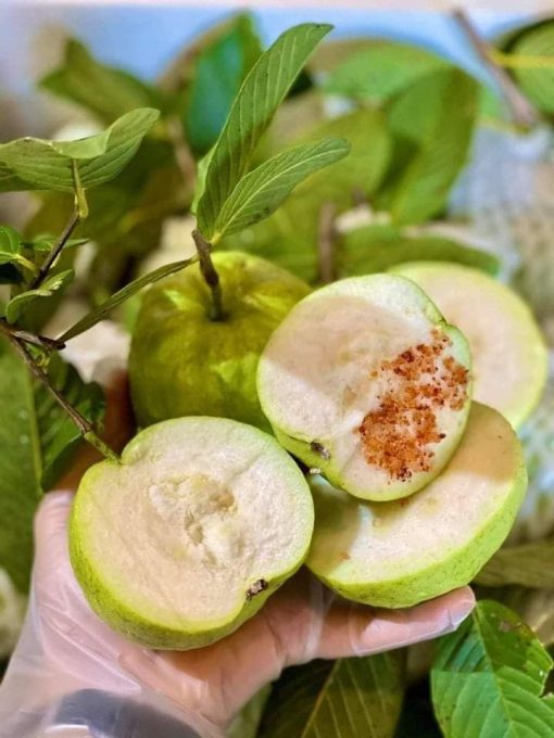 Trái cây nhiều canxi