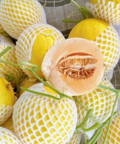 Trái cây nhiều canxi