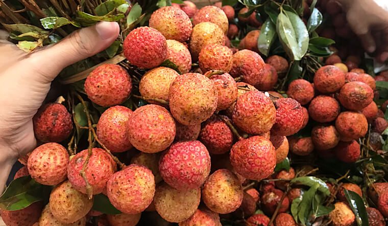 Ngăn ngừa cháy nắng